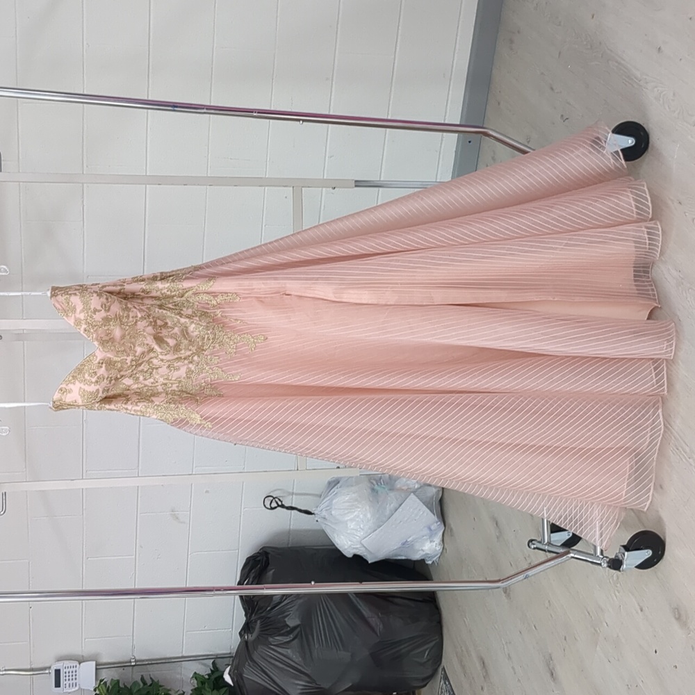 COPY - Jovani size 20 Pink Gold Ballgown